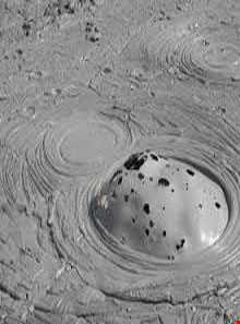 چشمه گل افشان تنگ