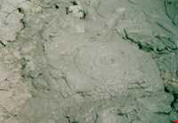 Gol Afshan Tang spring