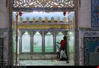 امامزاده سید جعفر محمد (ع)