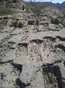 گورستان تیس