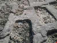 گورستان تیس