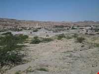 گورستان تیس