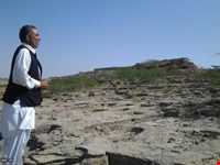 گورستان تیس