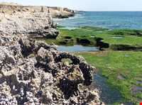 Chabahar cliff