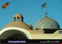 امامزاده سید گلسرخ