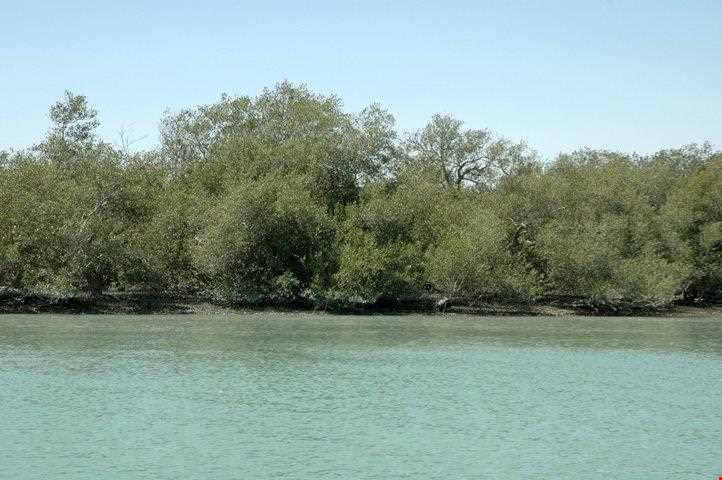 International wetland of Govater gulf