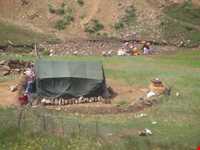 منطقه حفاظت‌شده و پناهگاه حیات وحش انگوران