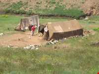 منطقه حفاظت‌شده و پناهگاه حیات وحش انگوران