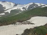 منطقه حفاظت‌شده و پناهگاه حیات وحش انگوران