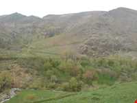 منطقه حفاظت‌شده و پناهگاه حیات وحش انگوران