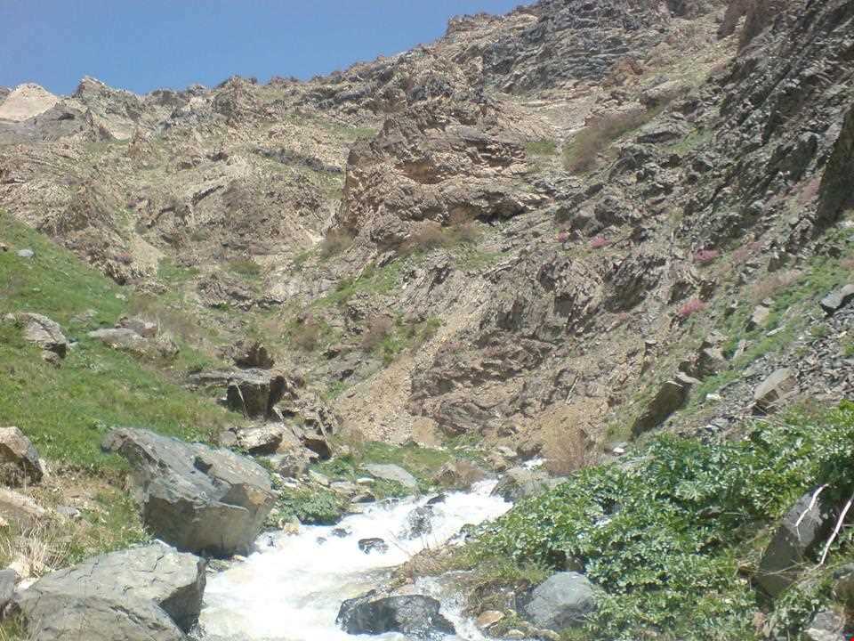 منطقه حفاظت‌شده و پناهگاه حیات وحش انگوران