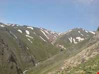 منطقه حفاظت‌شده و پناهگاه حیات وحش انگوران