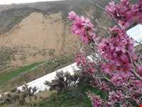 منطقه حفاظت‌شده و پناهگاه حیات وحش انگوران