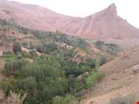 منطقه حفاظت‌شده و پناهگاه حیات وحش انگوران