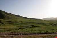 منطقه حفاظت‌شده و پناهگاه حیات وحش انگوران