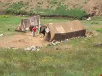 منطقه حفاظت‌شده و پناهگاه حیات وحش انگوران