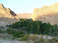 منطقه حفاظت‌شده و پناهگاه حیات وحش انگوران