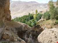 منطقه حفاظت‌شده و پناهگاه حیات وحش انگوران