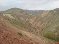 منطقه حفاظت‌شده و پناهگاه حیات وحش انگوران