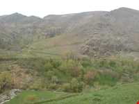 منطقه حفاظت‌شده و پناهگاه حیات وحش انگوران