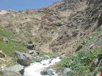 منطقه حفاظت‌شده و پناهگاه حیات وحش انگوران