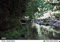 Zomorod Havigh waterfall