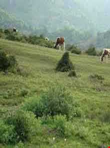 منطقه حفاظت شده سرخ آباد