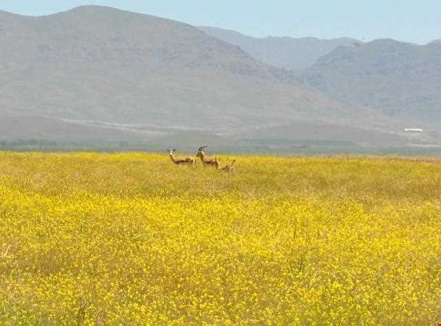 منطقه حفاظت شده سرخ آباد