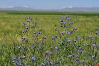 منطقه حفاظت شده سرخ آباد