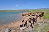 منطقه حفاظت شده سرخ آباد