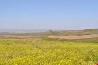 منطقه حفاظت شده سرخ آباد