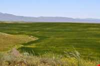 منطقه حفاظت شده سرخ آباد