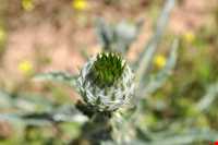 منطقه حفاظت شده سرخ آباد