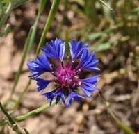 منطقه حفاظت شده سرخ آباد