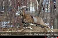 منطقه حفاظت شده سرخ آباد