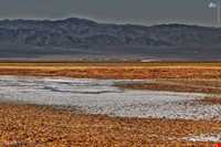 کویر اشتهارد