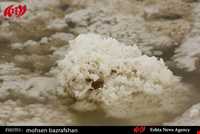 کویر اشتهارد