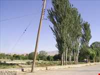 روستای گندمینه