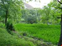 روستای ایدلیک