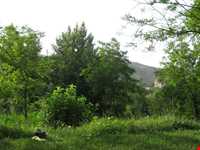 روستای ایدلیک