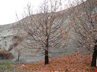 روستای ایدلیک