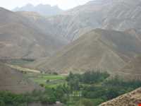 برنج ایدلیک - کلات