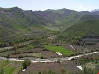 برنج ایدلیک - کلات