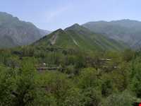 برنج ایدلیک - کلات