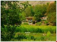 برنج ایدلیک - کلات