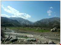 برنج ایدلیک - کلات