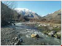 برنج ایدلیک - کلات