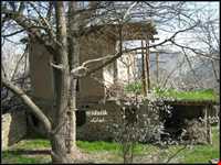 برنج ایدلیک - کلات