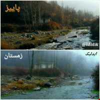 برنج ایدلیک - کلات