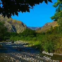 برنج ایدلیک - کلات